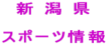 �@�V �� ��  �X�|�[�c��� 